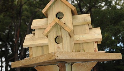 Birdhouses - Bird's the Word